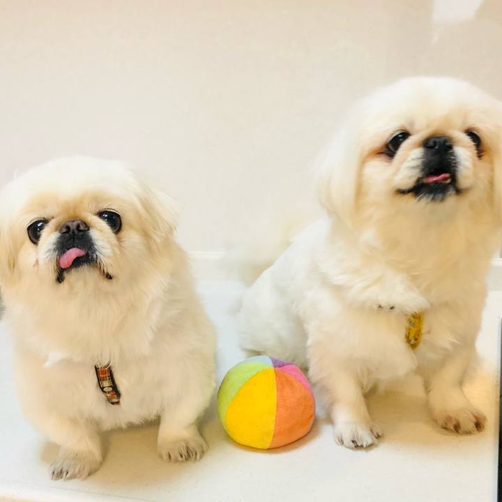 373c0191 1d40 42bf 9d7a 9c1488a11899 1618827633177