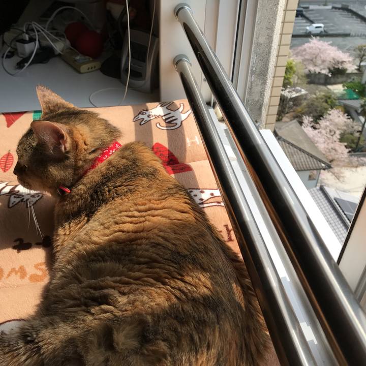 373c6442 6836 4649 9b3d 82c5826685a1 1522554488863