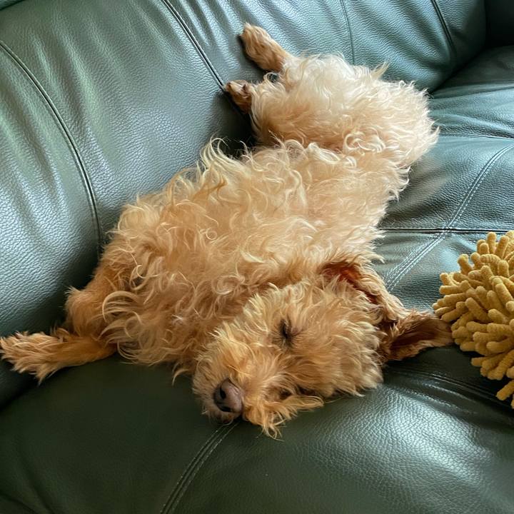 373c97f6 4f96 4994 a3fa dd93c06bf371 1689570511546