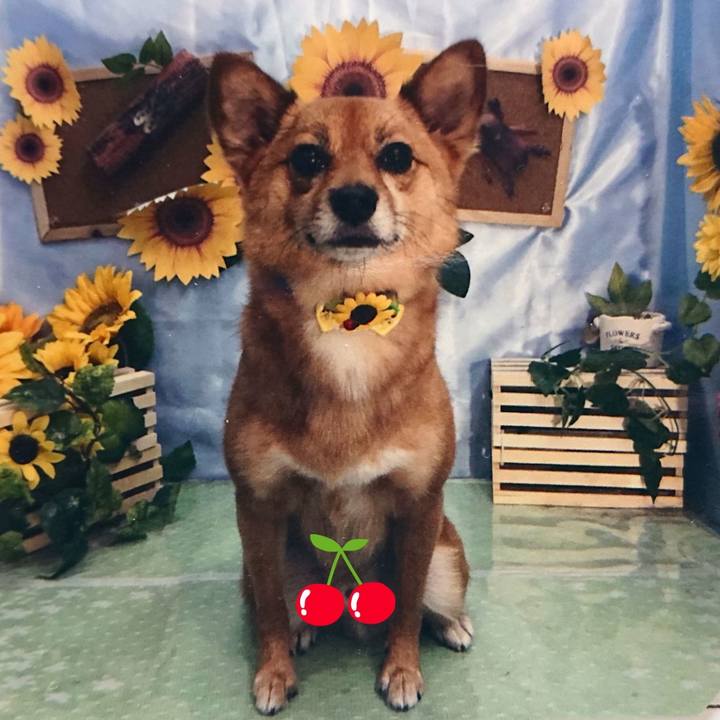 373c9827 d6e1 4222 a576 0bed4db0b124 1567167591675