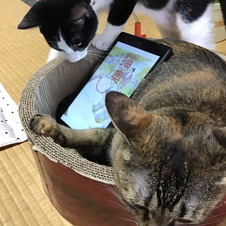 373cc115 2a94 4430 a160 6848cc0fc2ba 1629797450084