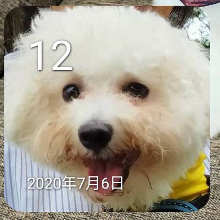 373cdb59 f01a 4191 a0a2 6e9c6514fa0b 1783818011583