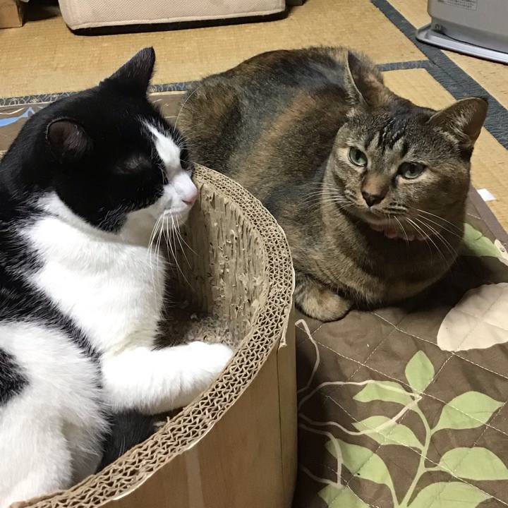 373d2398 e8c6 46a6 bb52 ae5694b199dc 1732872721456