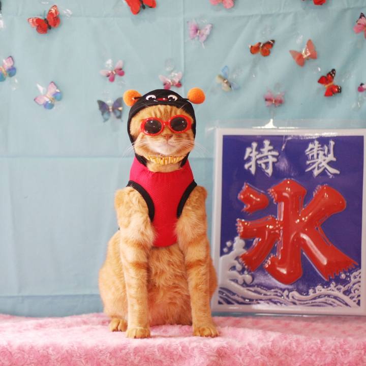 373d446b 1f9e 4d49 8d11 3642a4766f5d 1688810186857