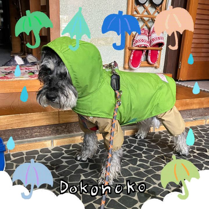 373d56e1 bfc9 40ac 823b 5a81f9af4d11 1717683021319