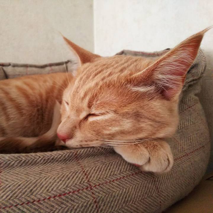 373da9b8 cd93 467e b56d 7dbd108bce64 1548975661759