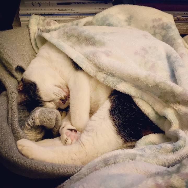 373db348 6dd0 41f0 abf7 c80dff5577b1 1578576132321