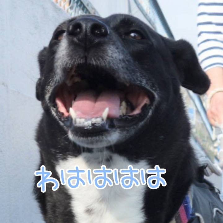 373dbc67 ee2b 4920 90d0 2a2d6ccaa692 1654822884716