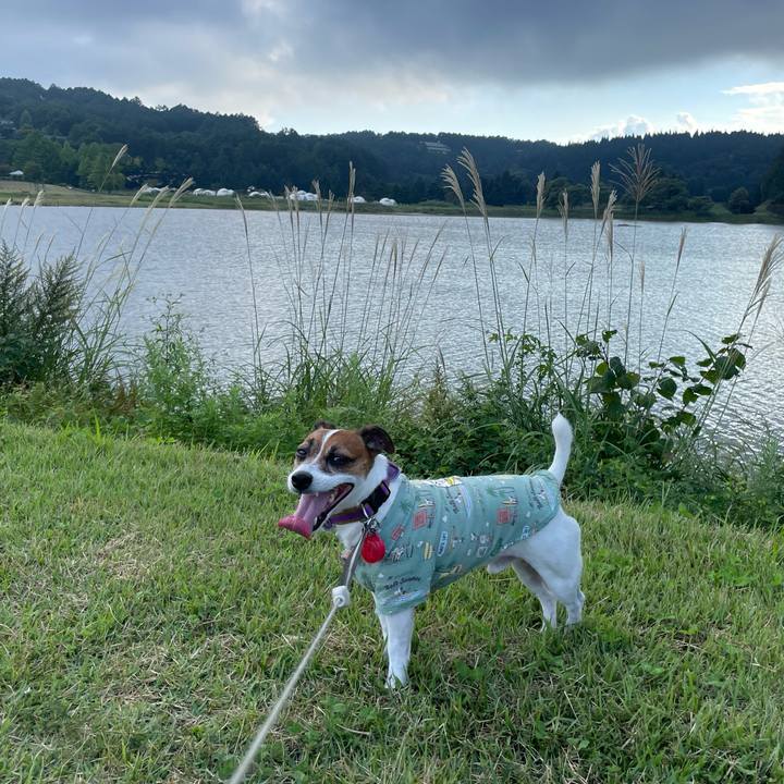 373dc3e9 0d34 4726 b178 0c2070afce21 1726132825604