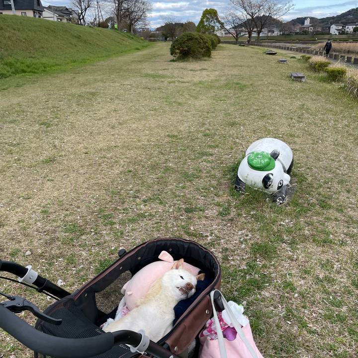 373e0167 649f 4f85 b83c 1020c90d5e9a 1679120731053