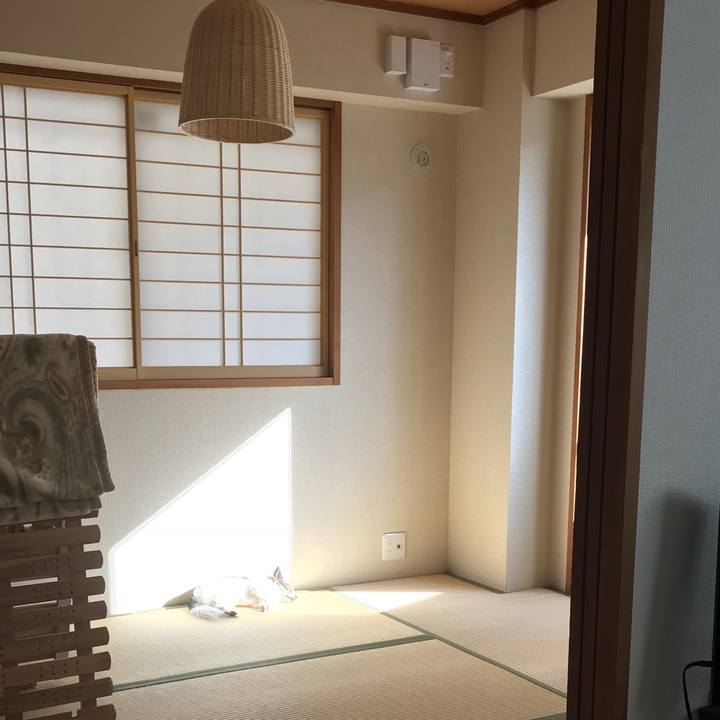 373e2890 b1d8 413e a956 9aa9b5bbc835 1520142975071