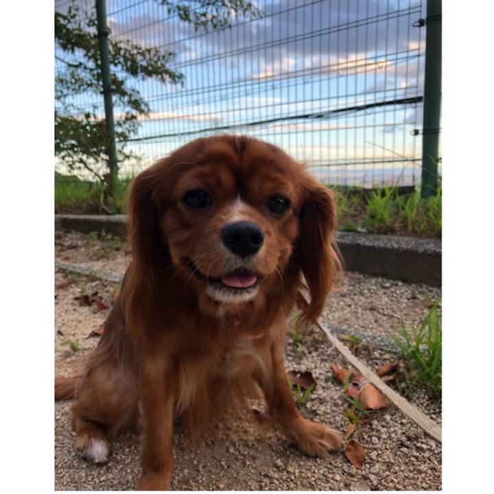 373e4396 9b7b 4e15 97b0 c04675c26844 1567943035875