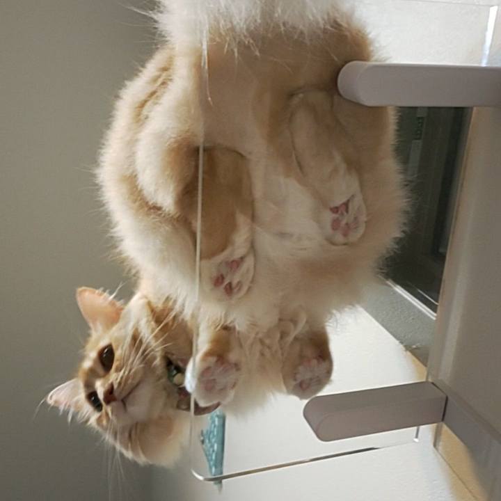 373eb58a f745 4825 ac72 63cf2b5dd6c2 1692196820221