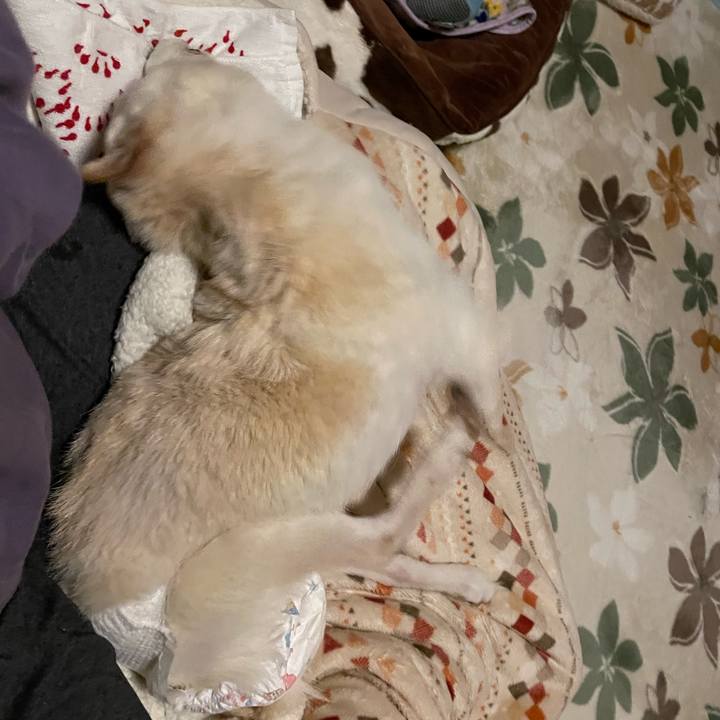 373ec997 2a7b 4468 b2bb ae1ad056e053 1675543327922