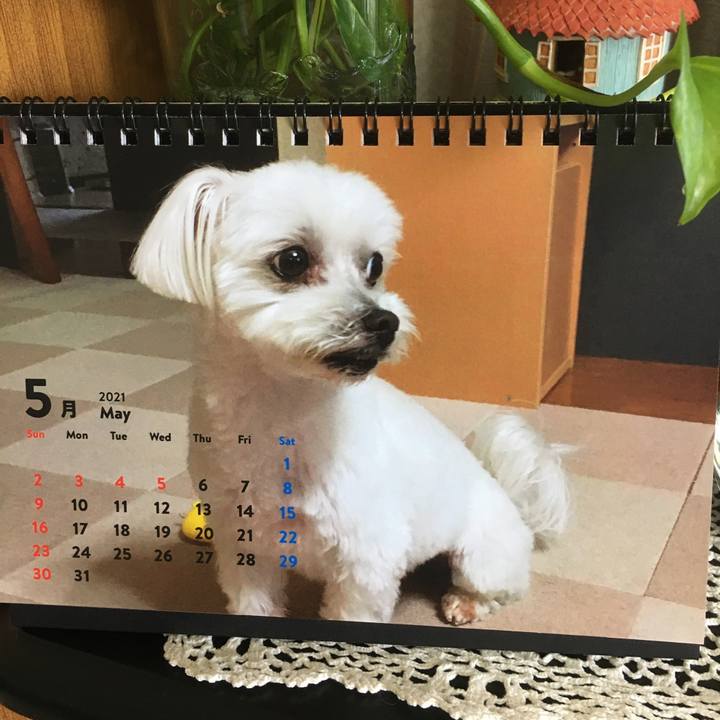 373ecd35 f4dd 40f2 b131 c0a7970fa7ba 1620015468729