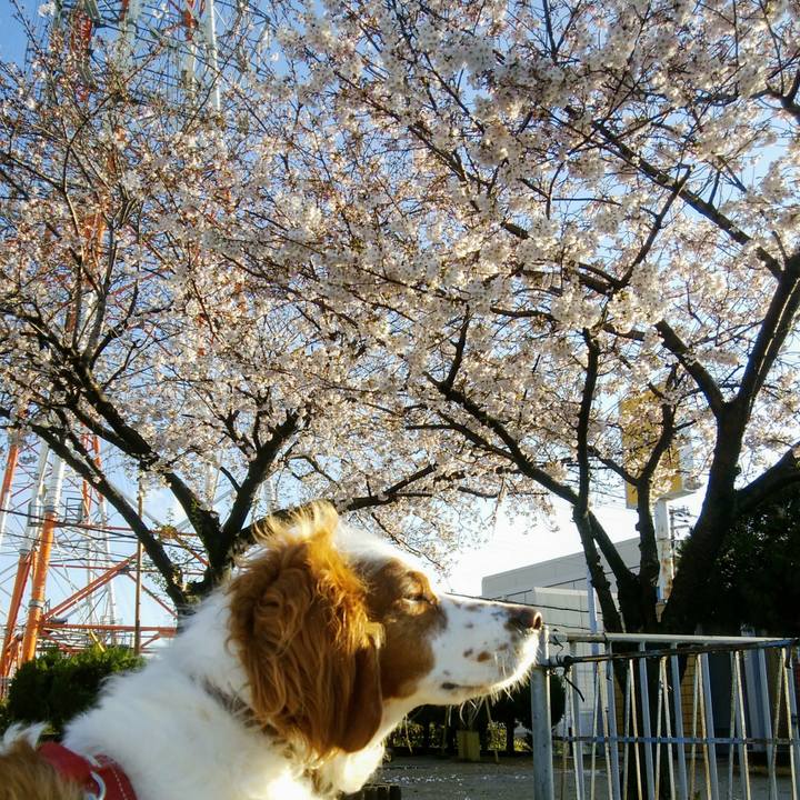 373ed2a0 31bf 4e28 b05b 6ffd7619abc5 1554682226849