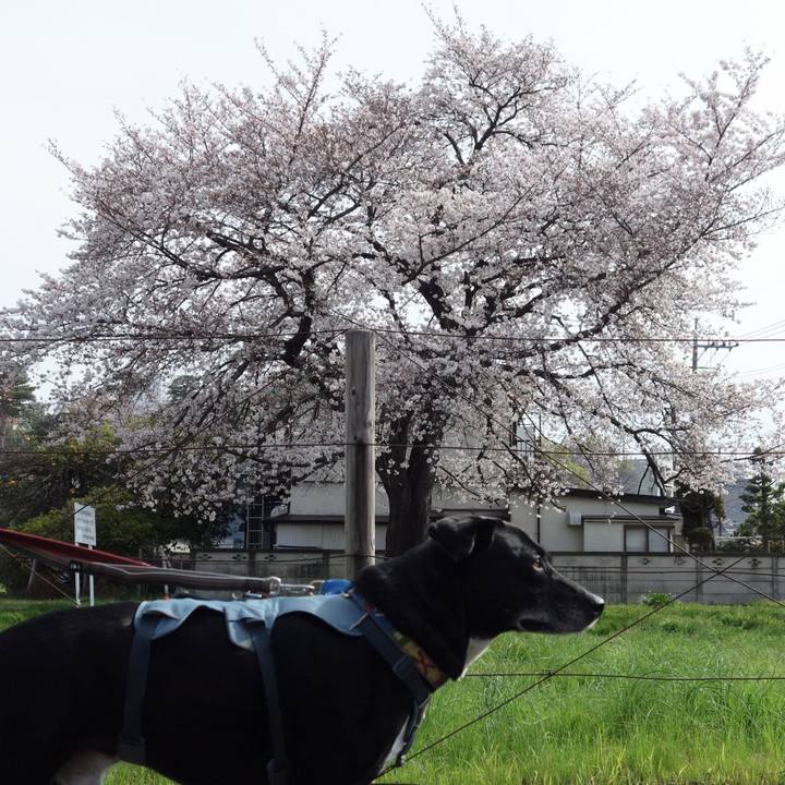 373f0514 6f6f 4004 a03d 88da45501454 1712453290073