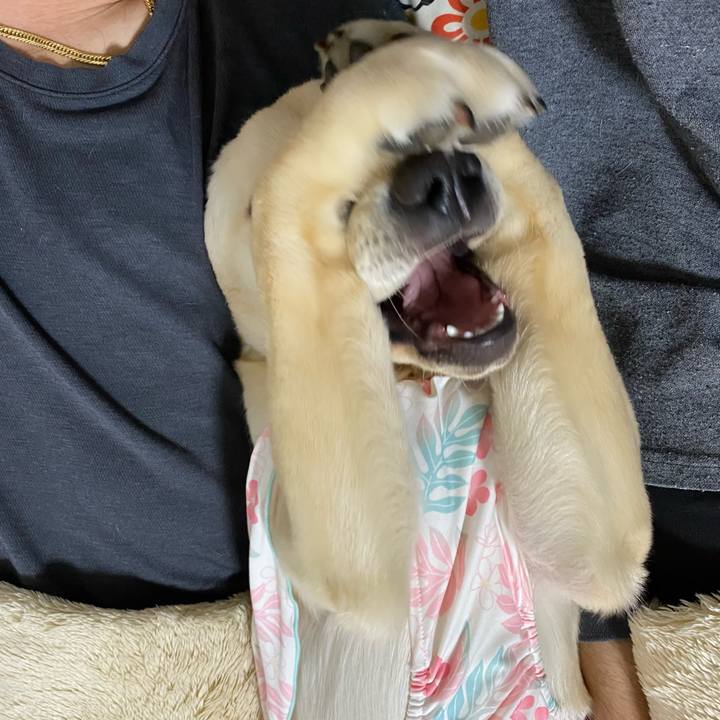 373f1986 3bef 4ddb 80d3 5213cf6fe800 1619823245233