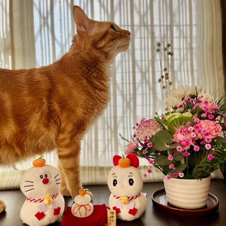 373f2659 ffdd 472d b817 7adc9121cfd1 1640903371965