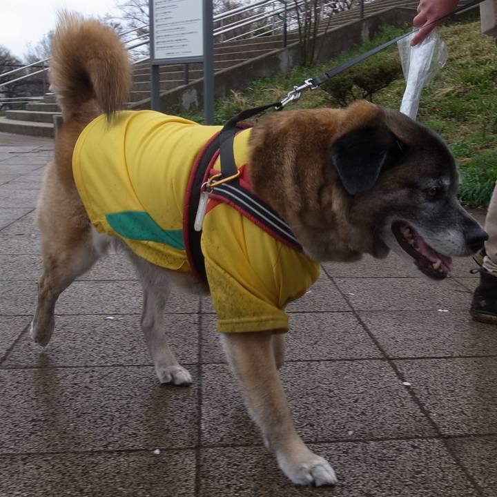 373f3ba9 9623 4482 9dba 9e9cdbb65b9a 1602892533647