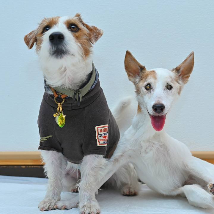 373f4657 fefd 42f0 abc9 a33b238746d7 1761816308441