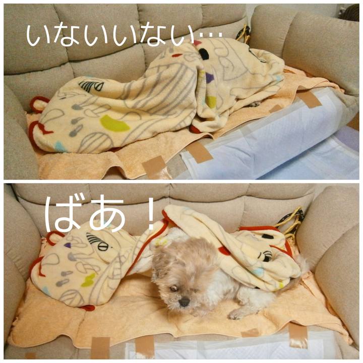 373f61e1 b6c6 425e b96b 032740da15c1 1635238920157