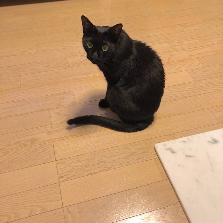 373f7f6d a429 44c5 87c4 90261f95ef49 1528632906442