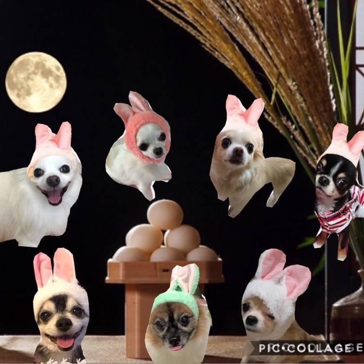 373f8e8f 2ba8 446f 8f23 cb85a5a4da7f 1537970533683