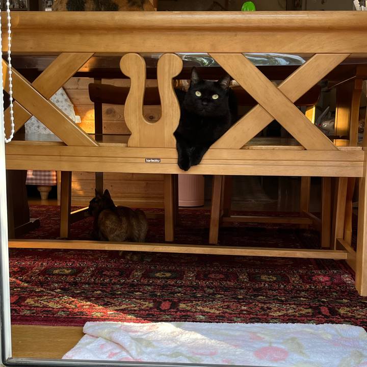 373f941b 5bfc 4c38 8c1d 59bd8551aba0 1660342254399