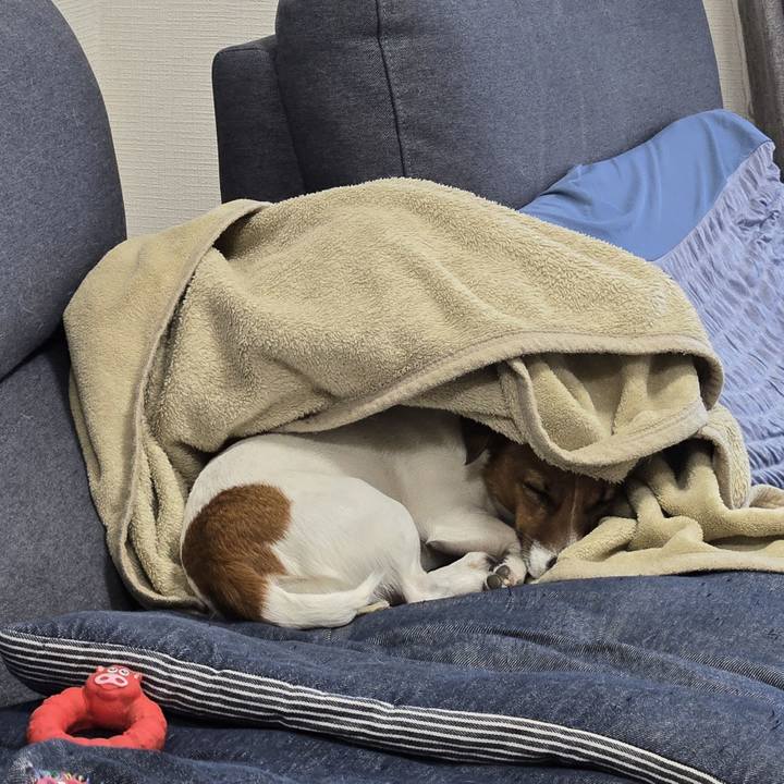 373fe7cb fed0 41d8 8e2d b55cbb966689 1770601704263