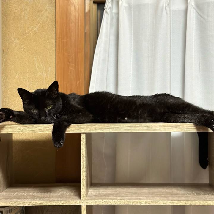 373fea61 ada5 44b1 a5d9 44504da87d51 1695861999324