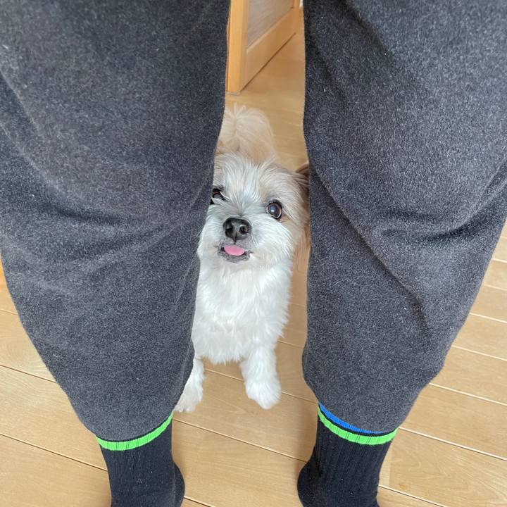 373ff018 860b 4c2f 8c64 2b281c3f0987 1646267789044