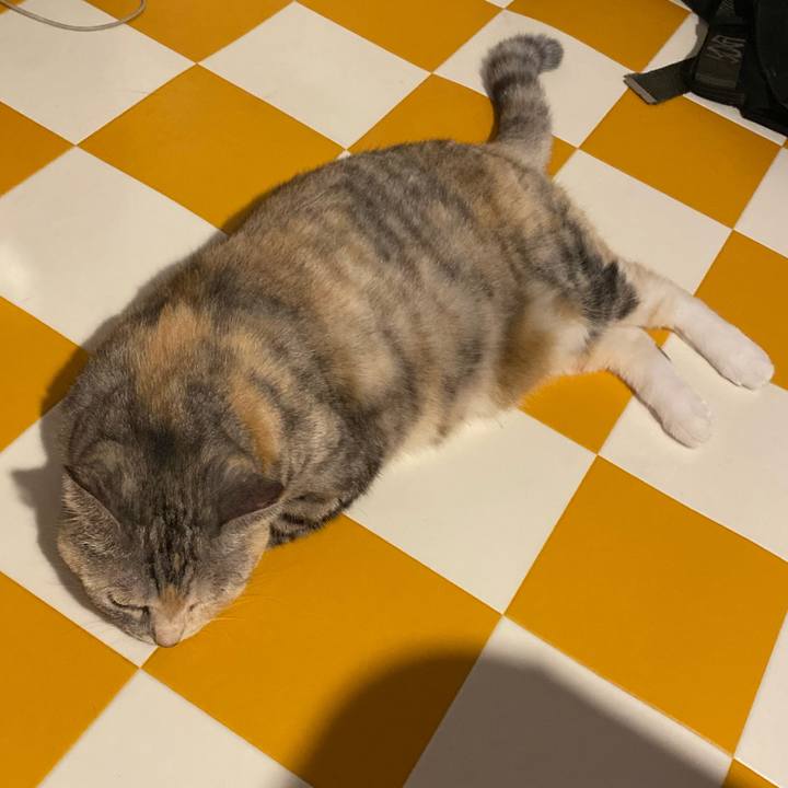 37406306 26a5 4708 bb33 7aeedded40ad 1692533755665