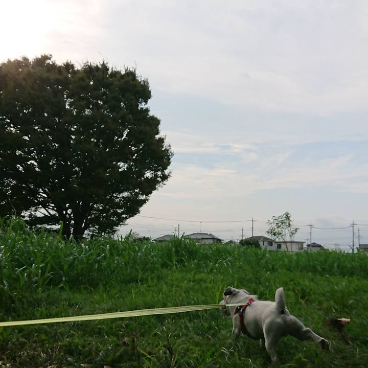 37406d23 7823 4388 a8ab 9a9821137b1d 1535756665635