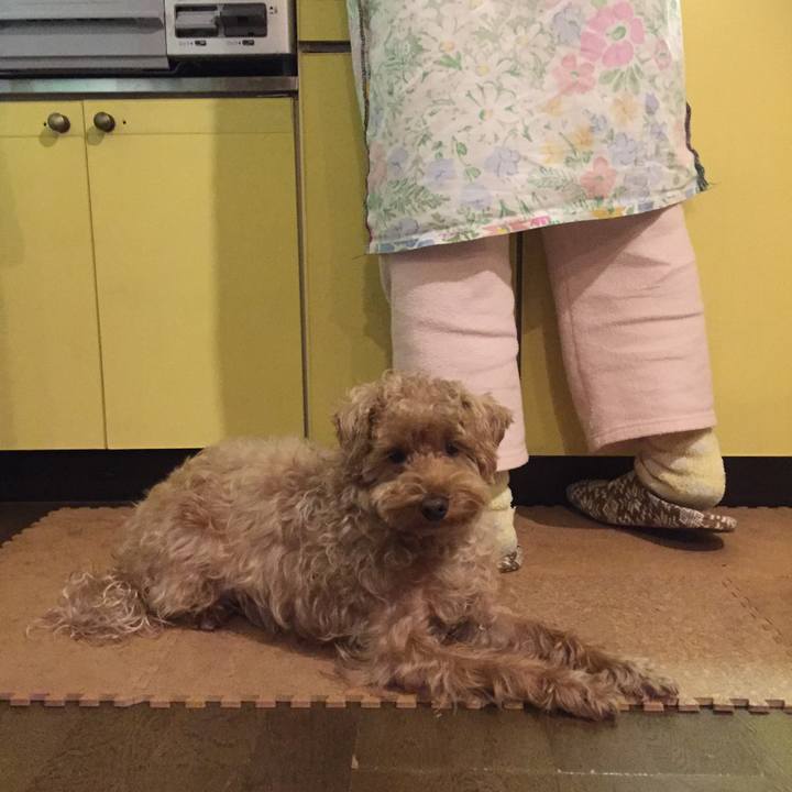 37406ef6 08c4 4bf9 94ad c6e5e5647e2f 1519740901921