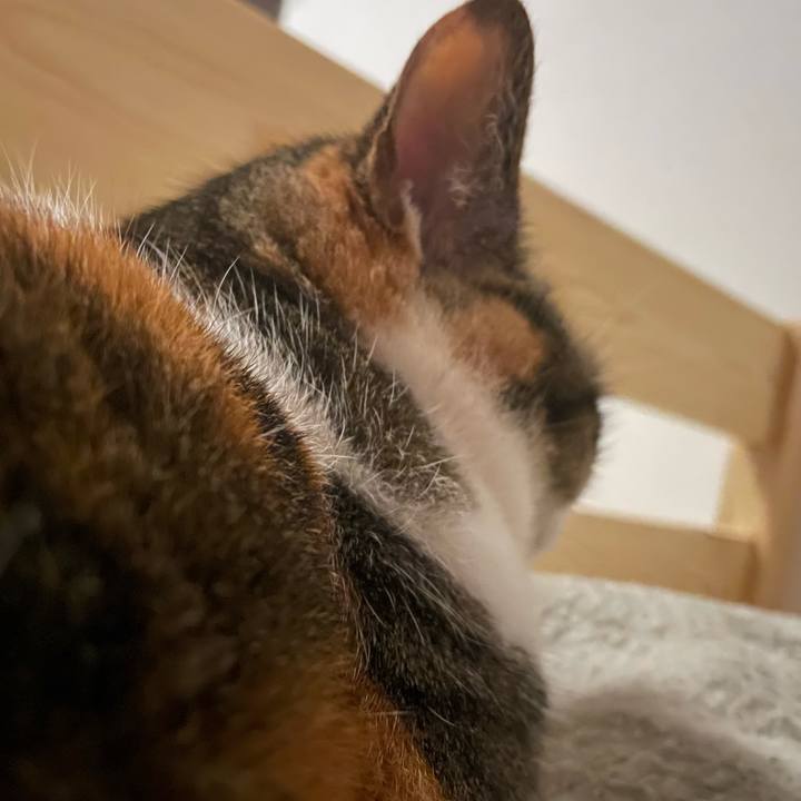 3741003b 5ff7 457c a092 eb3f195d812d 1677431890652