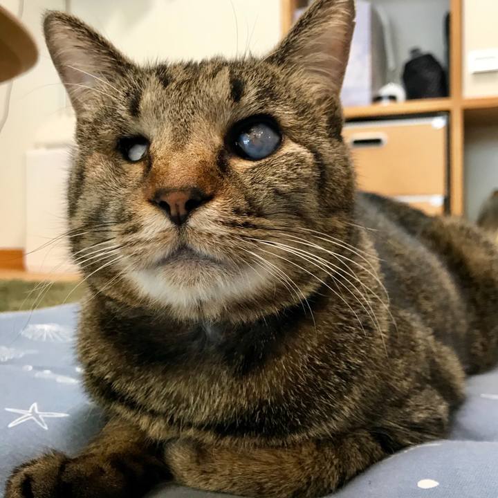 37410150 9acf 47bc 9c32 4b16797e973e 1557148391296