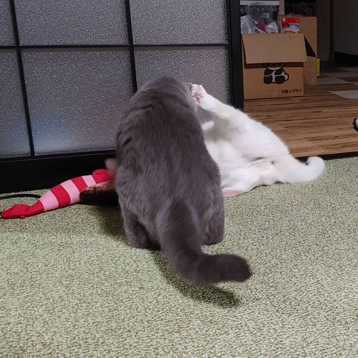 3741222d 5ad8 4341 bded 21f5d52ab294 1633557895134