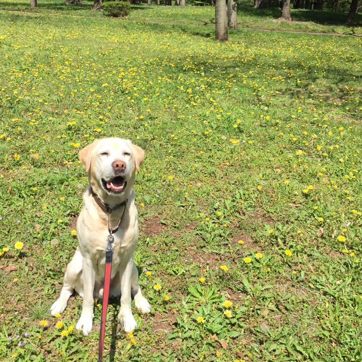 37413274 1bb0 45d9 b13d 9b49f7a56a3e 1524118956897