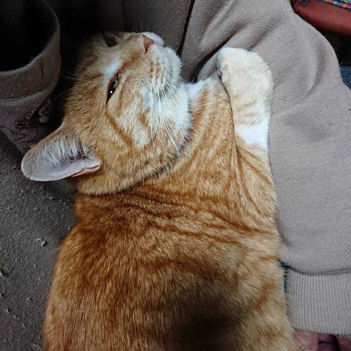 37414ada e96e 40ab 8aa1 accf768c2988 1577773089580