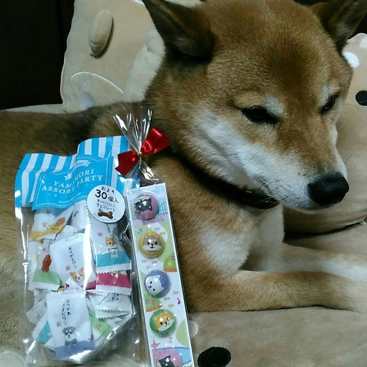 37415eed 1729 4e7b b968 54ce1f6120e2 1549884220595