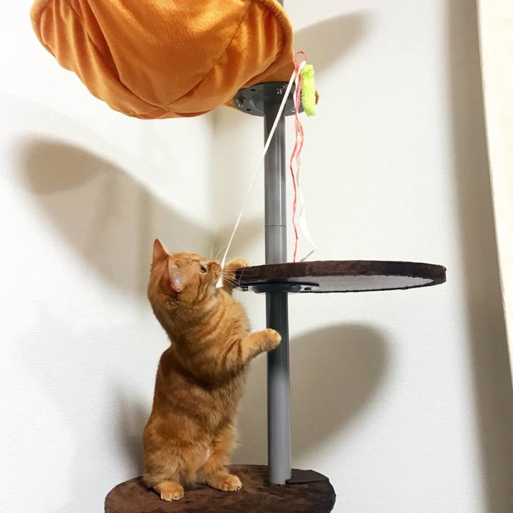 37419d71 280a 4c92 8780 30a073537d28 1514544375219