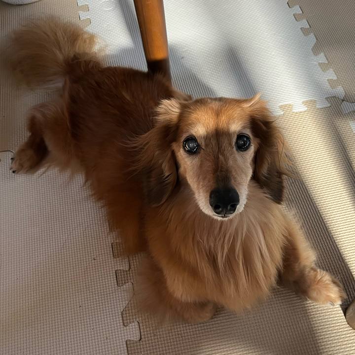 3741b8c8 2157 4789 b8ab 14d2c6dc9b12 1684327409611