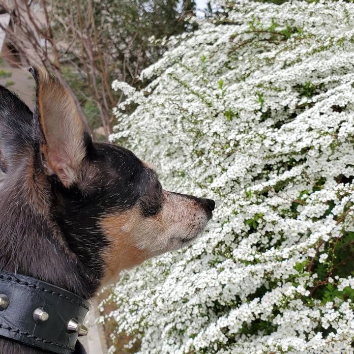 3741c76c fe1b 4ae2 a160 54ff83780f42 1678609549413