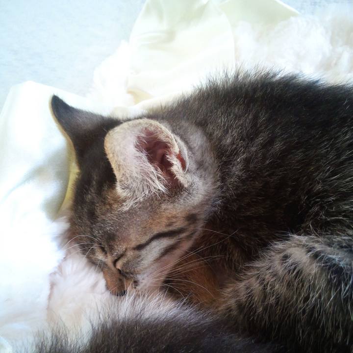 374223b3 3f3b 477d ab2d 6dca025b1706 1611502847519