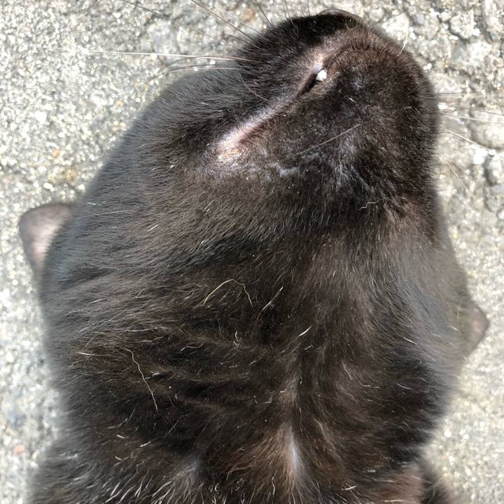 37423f79 4871 4b10 bda2 b67f68363405 1528550798814