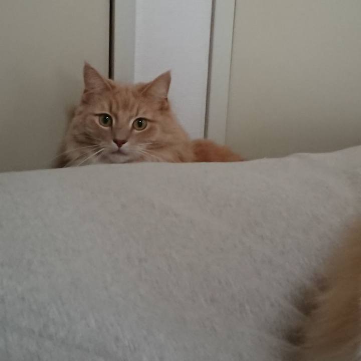 3742b5b2 7d99 4bb6 b197 e2650b7ab982 1517453548368