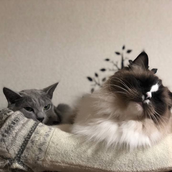 3742ec5f 493a 48ca ab1c b31b2ba67d64 1547639355332