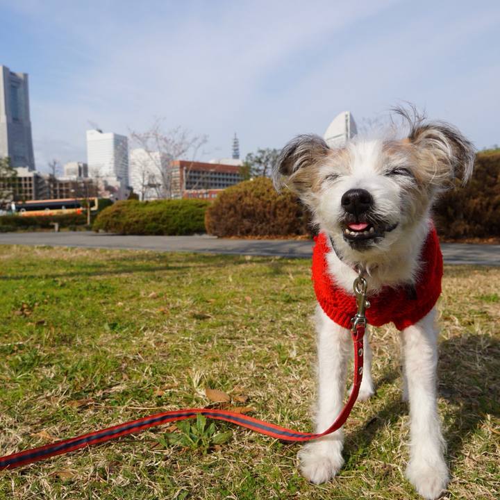 3742fb10 233f 4da4 9bea a285285e01c6 1511352279842