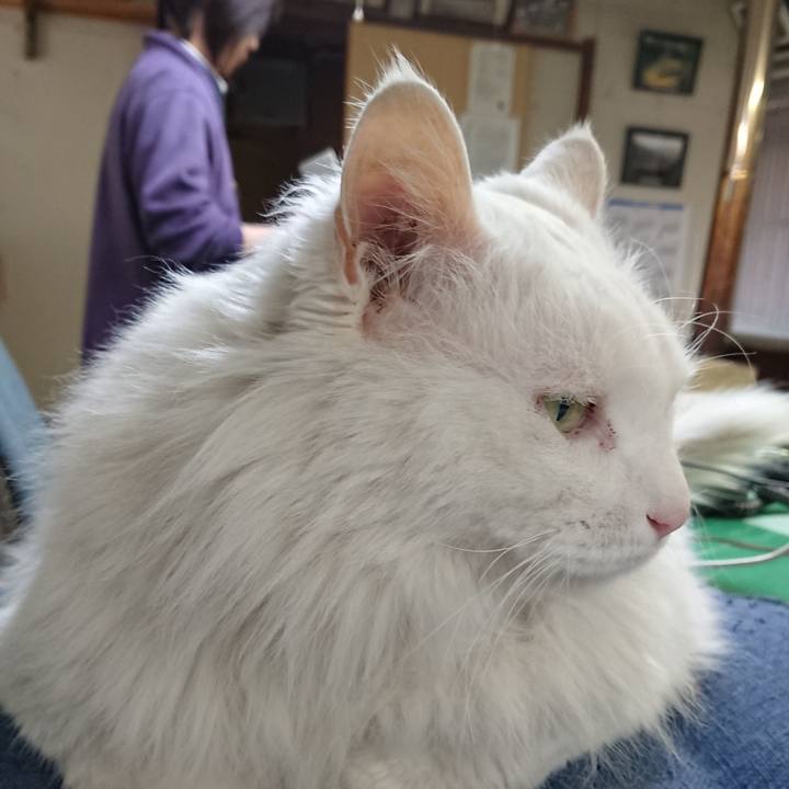 37432ca0 7e03 449a 821b 6ff962df20c6 1525213858225